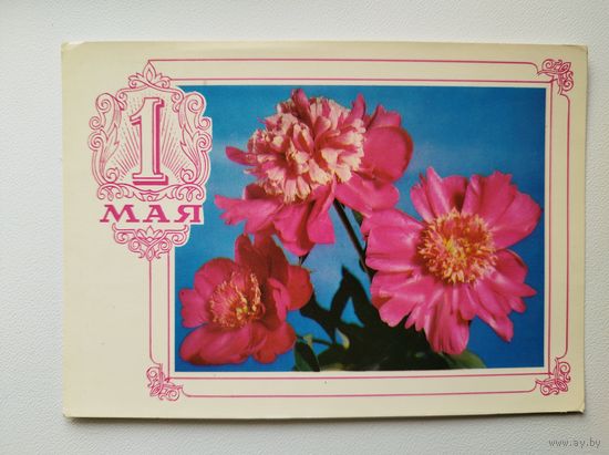 1 мая 1976 год. Фото Г. Костенко. Чистая
