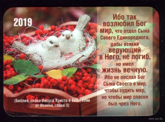 Поповский 2019