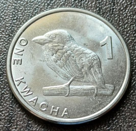 Замбия 1 квача, 2024     ( 1-9-2 )