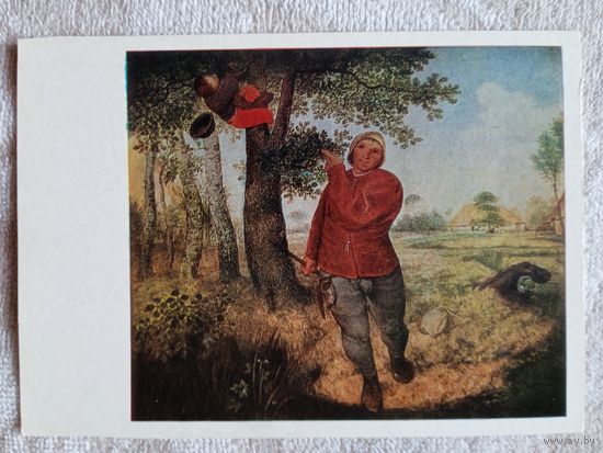 Брейгель. Похититель гнёзд