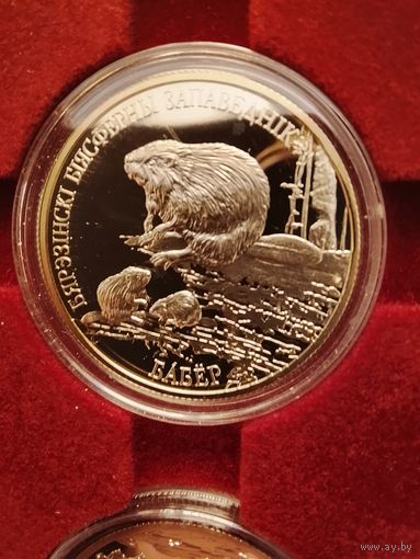 Бобр Березинский заповедник