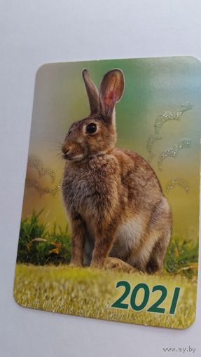 Календарик.Заяц-русак.2021.