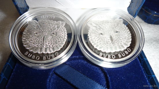 Торги. Пугач ("Филин"). 20 рублей . Серебро , проба 999 . 2010 год . В родной капсуле !