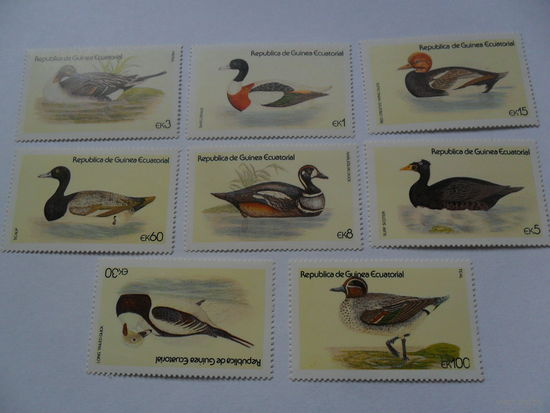 Экваториальная Гвинея, утки