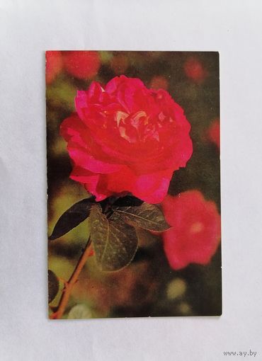 Открытка из СССР, 1973г, подписанная.