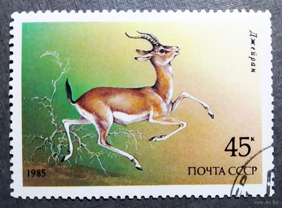 Марка СССР 1985 год Животные Красной книги