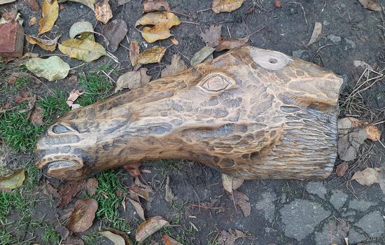 Голова под рог лося, большая , массивная.