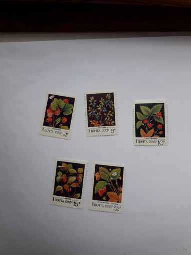 Марки СССР 1982 Ягоды