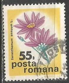 Румыния. Цветы. Сухоцвет однолетний. 1975г. Mi#3287.