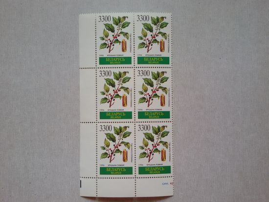 Лекарственные растения. 1996. Серия с блоком. Шестиблоки