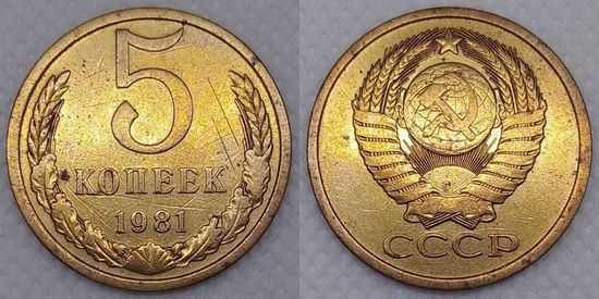 5 копеек 1981 СССР