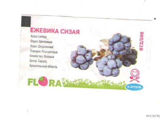 Flora. Ежевика сизая. Возможен обмен