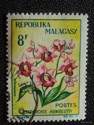 Мадагаскар. Флора.