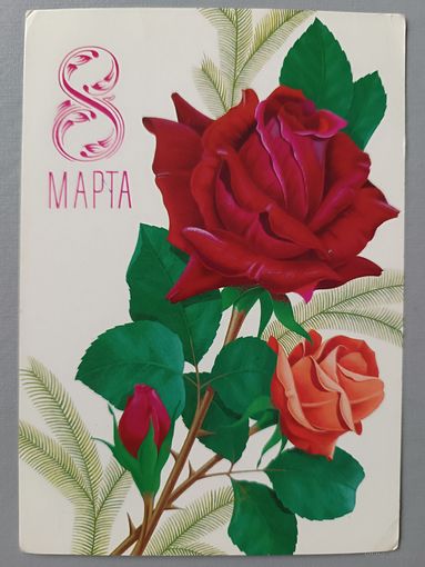 С 8 Марта! Роза. Открытка, подписана, 1980г.