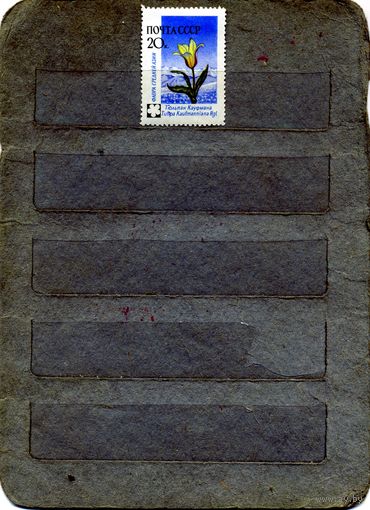 СССР, 1960, ФЛОРА СССР, 1м ,  чистая