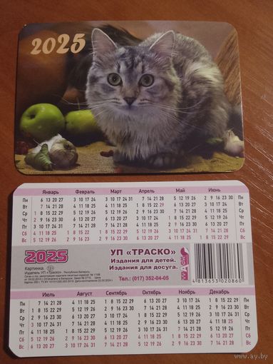 Карманный календарик. Котик. 2025 год