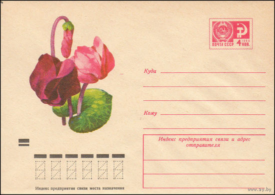 Художественный маркированный конверт СССР N 8373 (25.07.1972) Цикламены