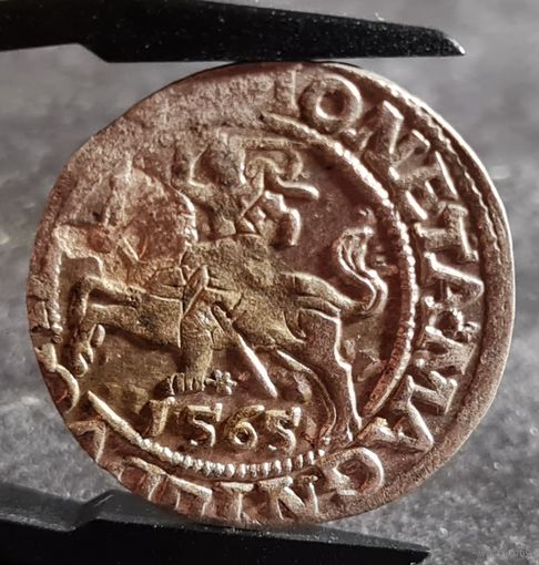 С РУБЛЯ! много лотов, Полугрош, 1/2 гроша 1565 года, Сигизмунд II, м.д. Вильно, Литва, ХОРОШИЙ!