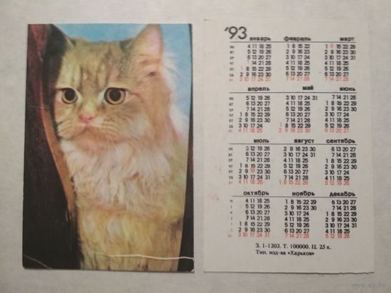 Карманный календарик. Котик.1993 год