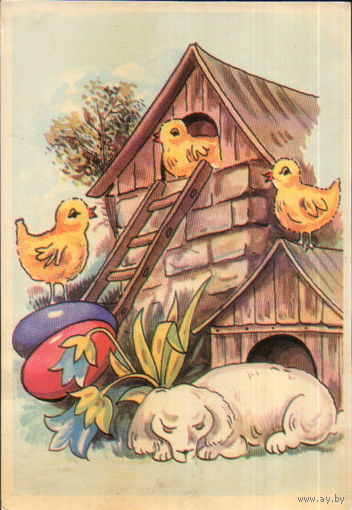 Подписанная открытка Чехословакия "Пасха. Цыплята и собака" худ. Ян Баламута