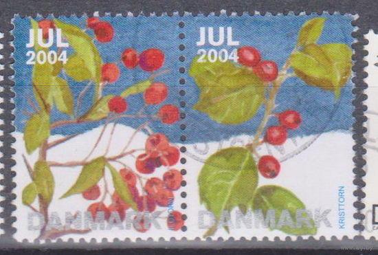Флора Зимние ягоды Дания 2004 год Лот 14 сцепка Рождественские марки