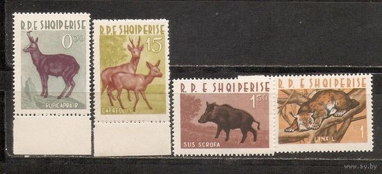 ФФ1 Албания 1962 Фауна
