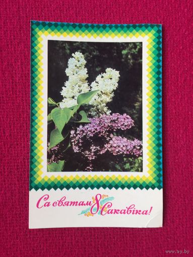 С Праздником 8 Марта! Орлов, Ананьины, Бетанава ( Бетанов ) 1975 г.