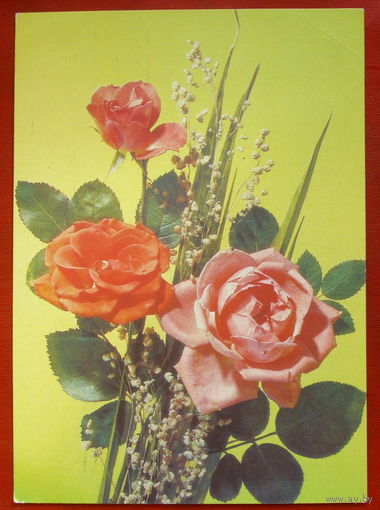 Цветы. Подписанная. 1991 года. Дергилева. 800.