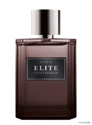 Туалетная вода для мужчин "Elite Gentleman" (75 мл)