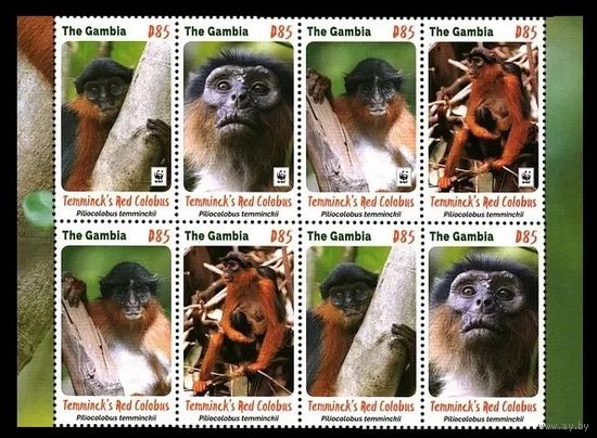 2016 Гамбия 7331-7334+7331II-7334IISB WWF - Обезьяны 32,00 евро