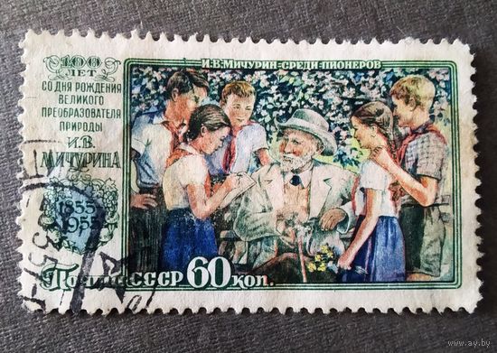 Марка СССР 1956 год Мичурин