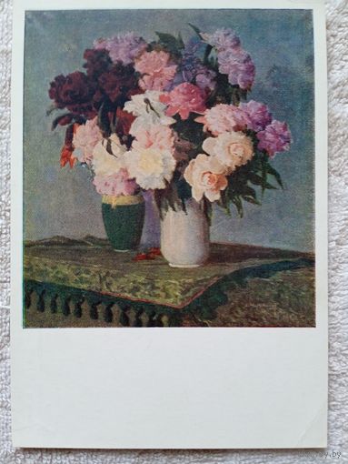 1952. Чичкан. Пионы