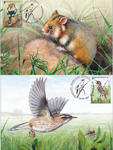 Картмаксимум "Обыкновенный хомяк, вертлявая комышевка", 2 открытки