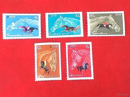 1968, январь. Коневодство и конный спорт в СССР
