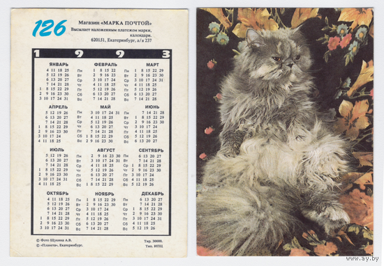Календарь кошка N126 1993