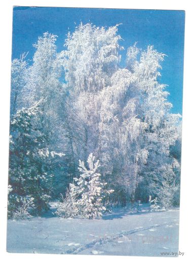 С Новым годом! Возможен обмен