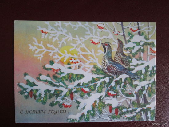 Почтовая открытка.СССР.1989г.Чистая.