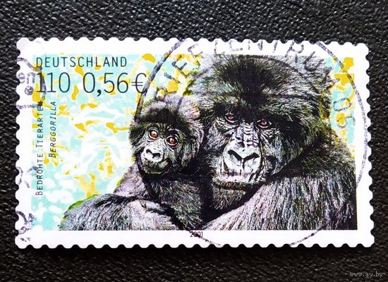 Марка Германия 2001 год Исчезающие животные
