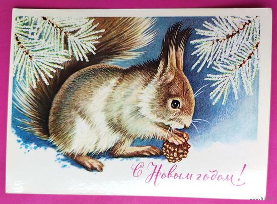 С новым годом! Чистая. 1981 года. Достян. 2599.