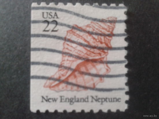 США 1985 стандарт, ракушка