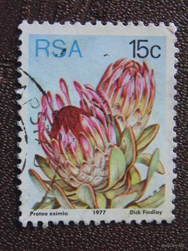ЮАР 1977 г. Цветы.