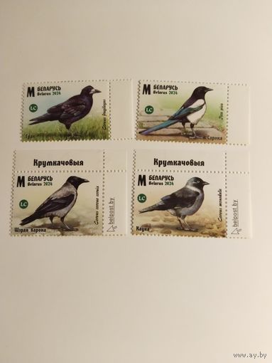 Беларусь  2024  4 м  птицы