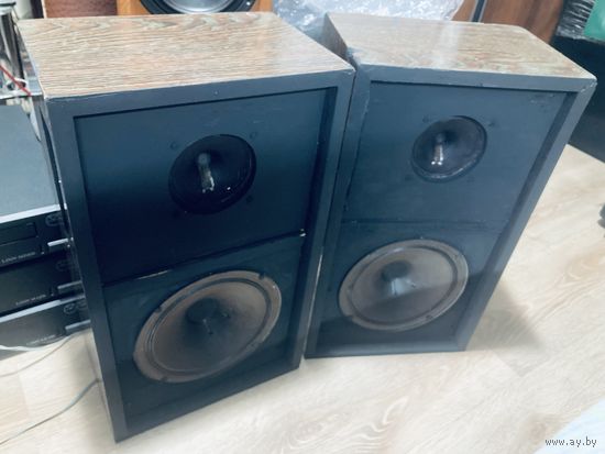 Колонки tesla