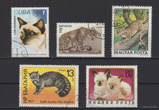 Фауна Кошки разное Used