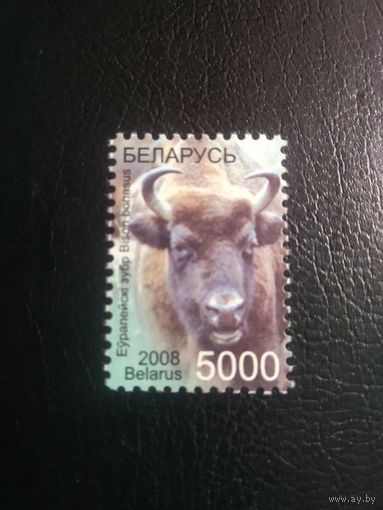 Беларусь 2008г. Зубр.