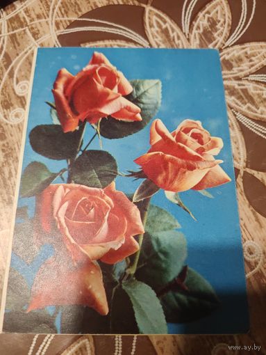 Открытка,телеграмма,подптсана