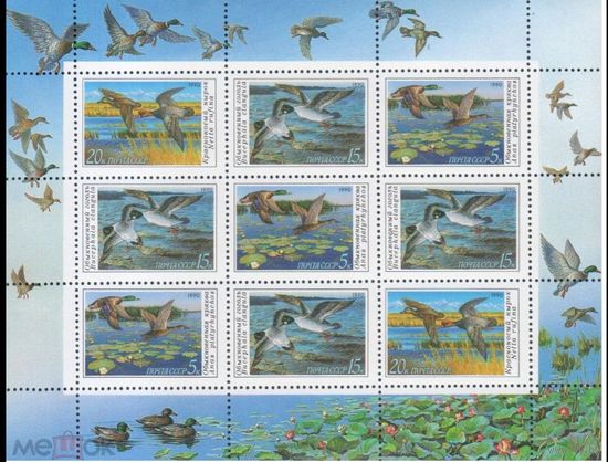 СССР 1990 г 6220-6221-6222 ФАУНА ВОДОПЛАВАЮЩИЕ ПТИЦЫ УТКИ        MNH