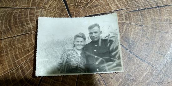 Фото девушки с военным среди колосьев 1951г