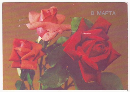 Открытка 1989 (163)