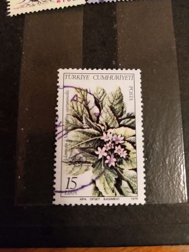 1979 Турция флора цветы концовка (3-14)